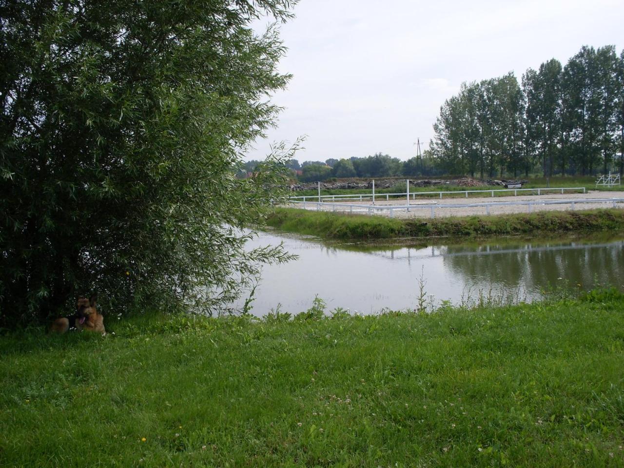 Nagybajcsi Lovaspark és Otthon vendégház Kültér fotó